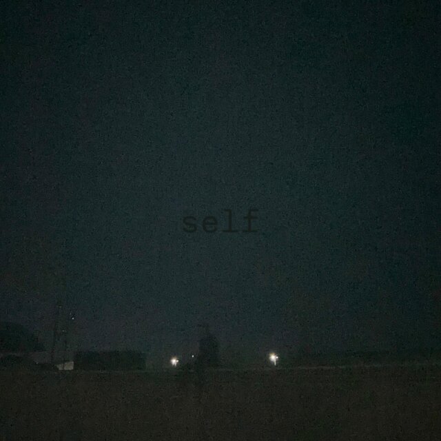 self