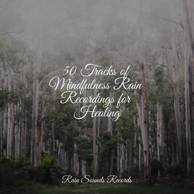 50 Tracks of Mindfulness Rain Recordings for Healing