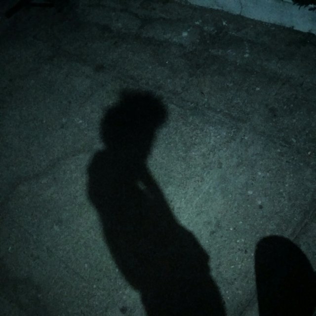 24/7 Alone