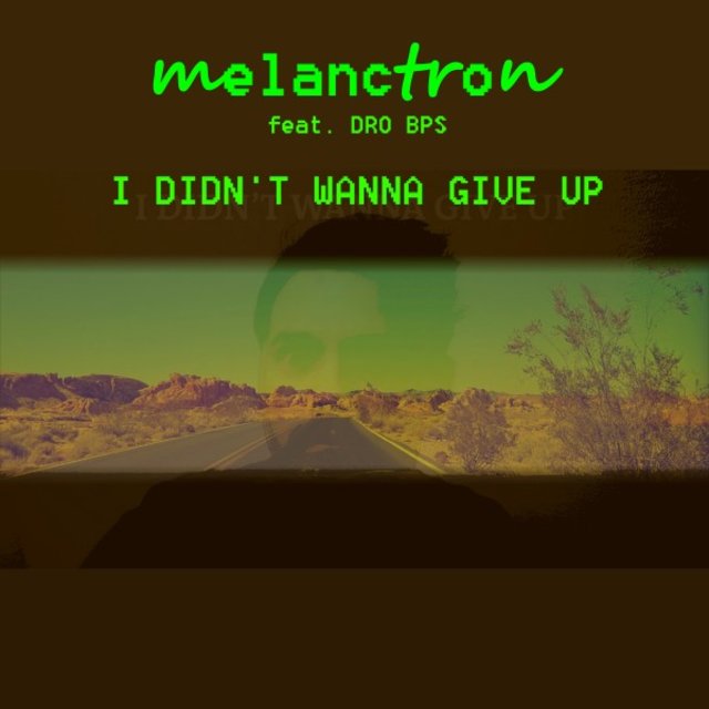 I Didn't Wanna Give Up