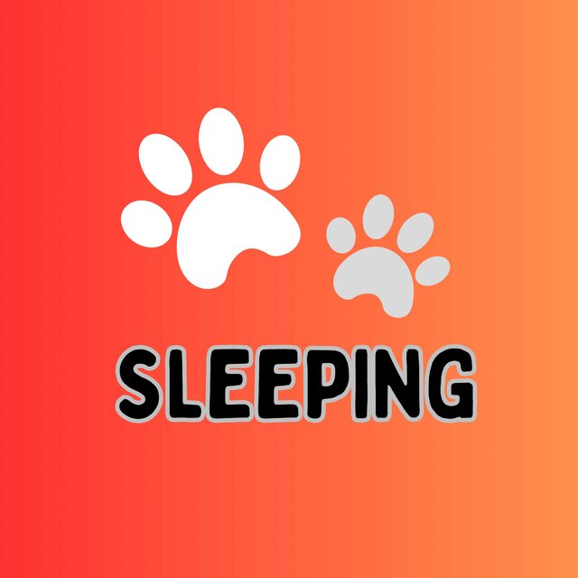 Sleeping Music