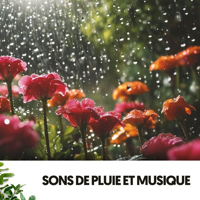 Chiens et Chats Heureux : Mélodies sous l'Orage