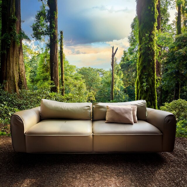 Music For Relaxation In The Peace Of The Day