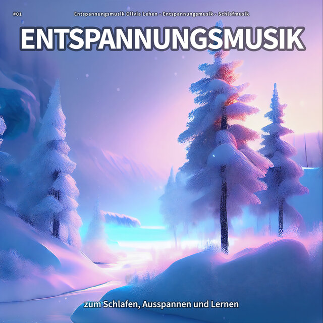 #01 Entspannungsmusik zum Schlafen, Ausspannen und Lernen