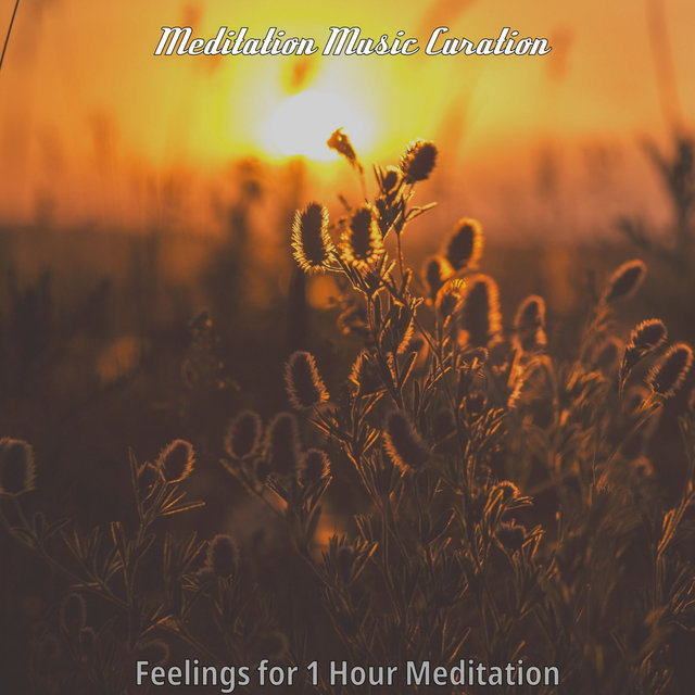 Feelings for 1 Hour Meditation