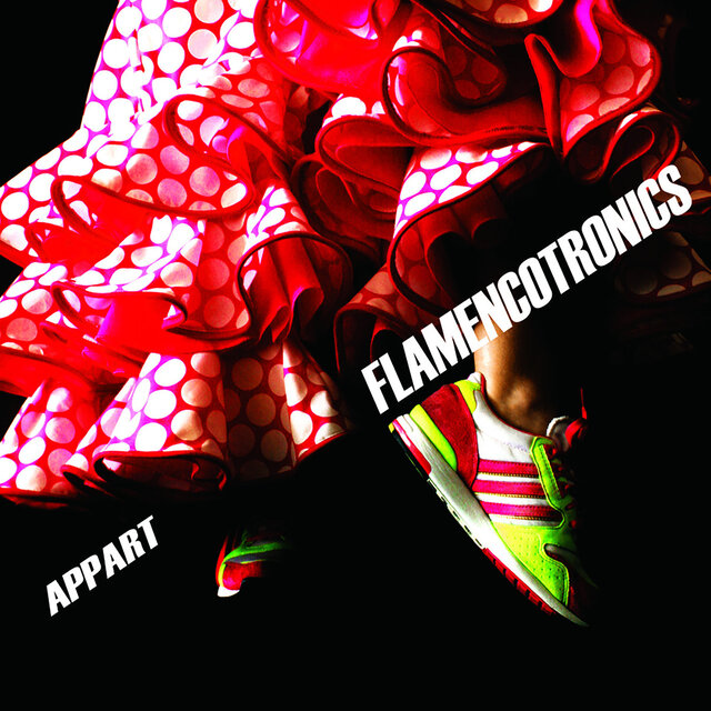 Flamencotronics