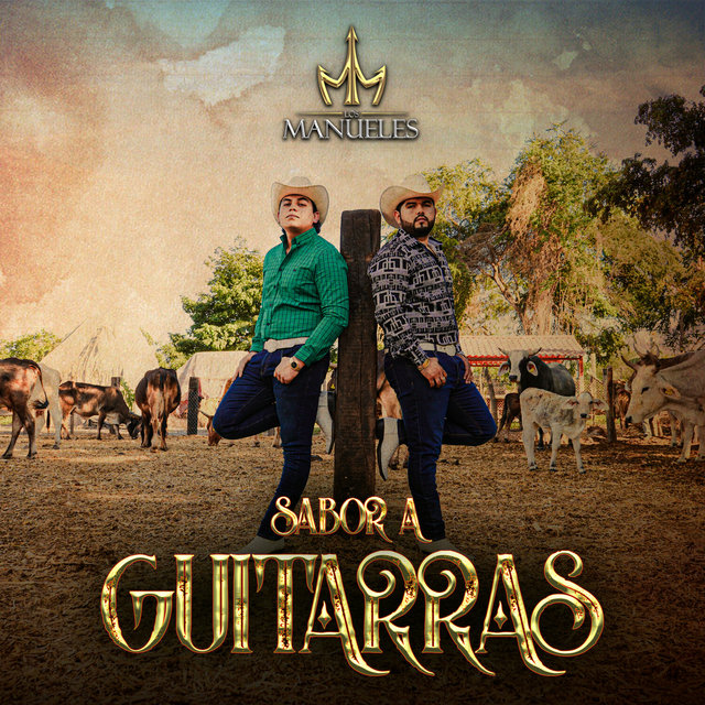 Sabor A Guitarras