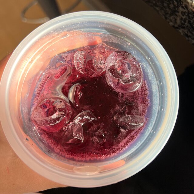 SIPPIN
