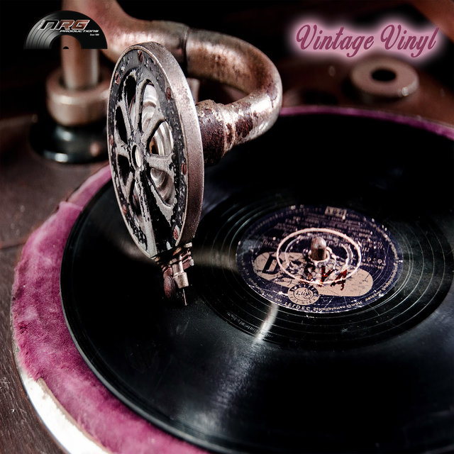 Vintage Vinyl (The Album)