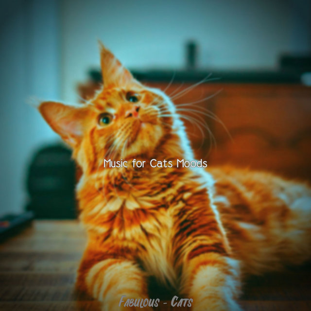 Fabulous - Cats