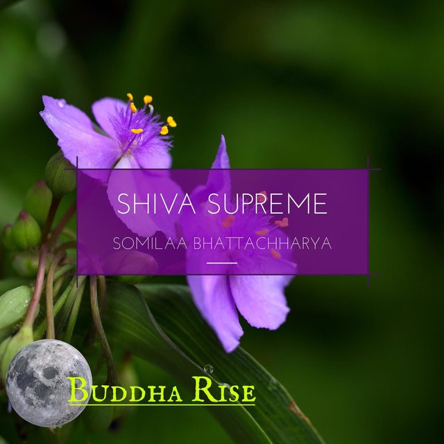 Shiva Supreme