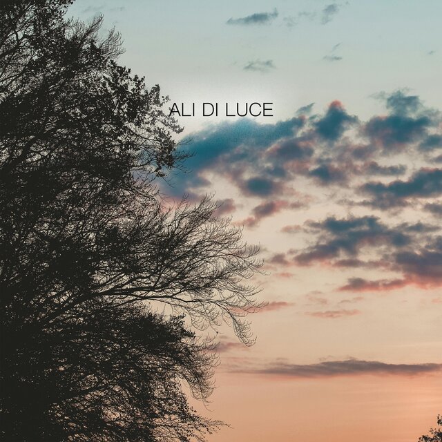 Ali di luce
