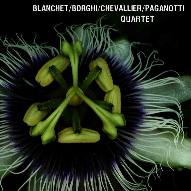 Blanchet / Borghi / Chevallier / Paganotti Quartet