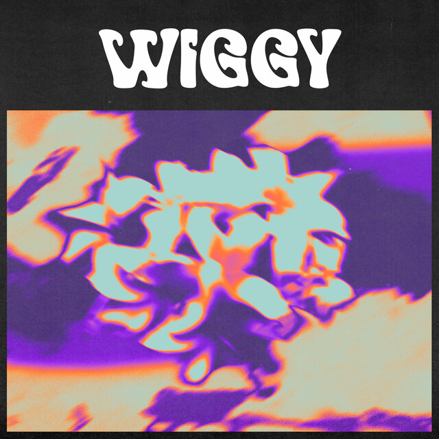 Wiggy