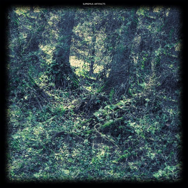 Supremus: Artifacts
