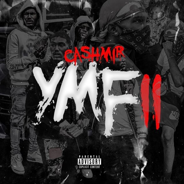 YMF II