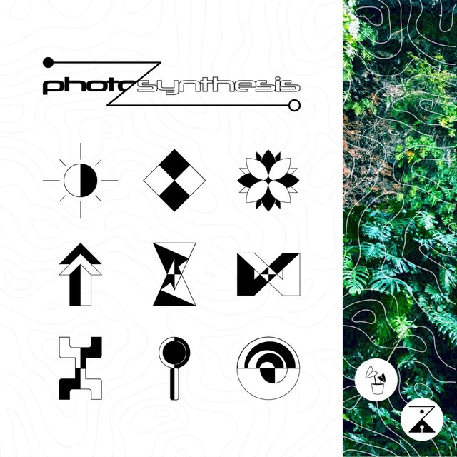 Photosynthesis