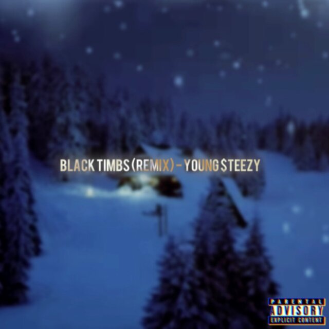 Cover art for album  by Young $teezy