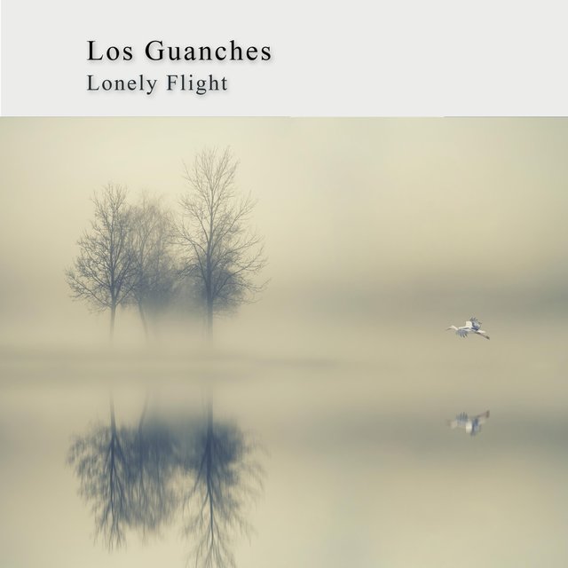 Lonely Flight