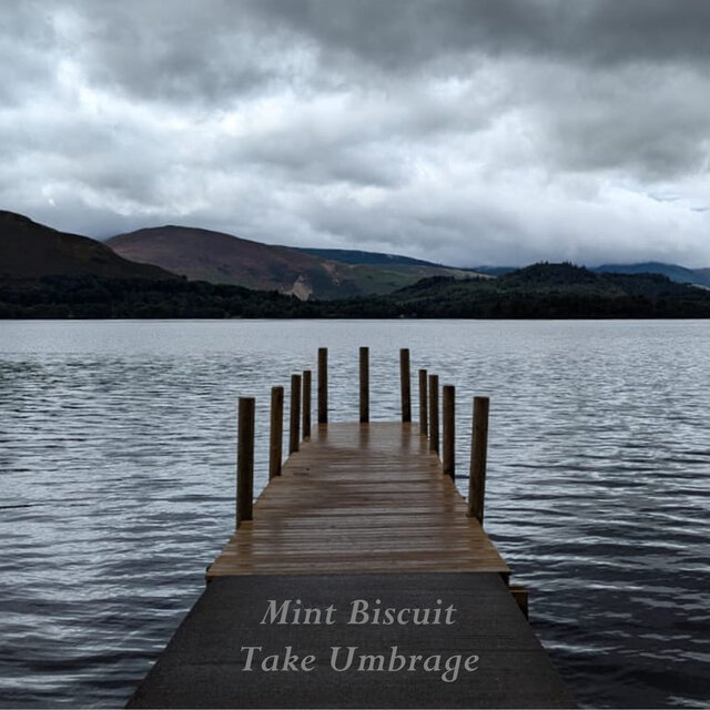 Take Umbrage