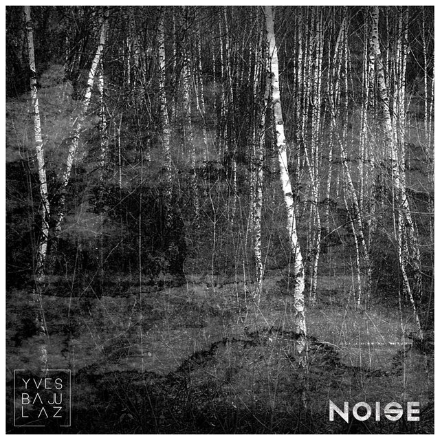 Noise