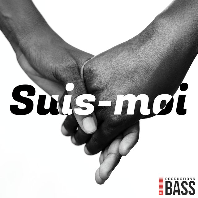 Suis-moi (feat. LD-Zod & Mr.Idefix)