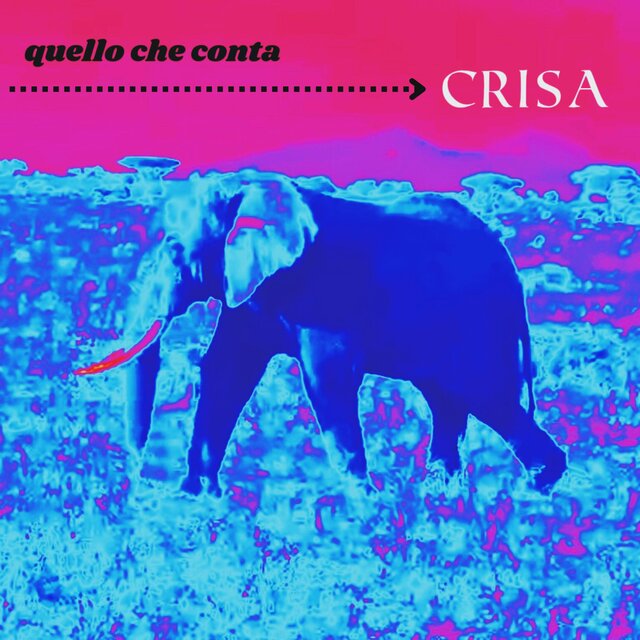 Quello che conta