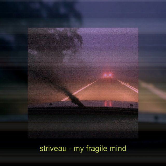 My Fragile Mind