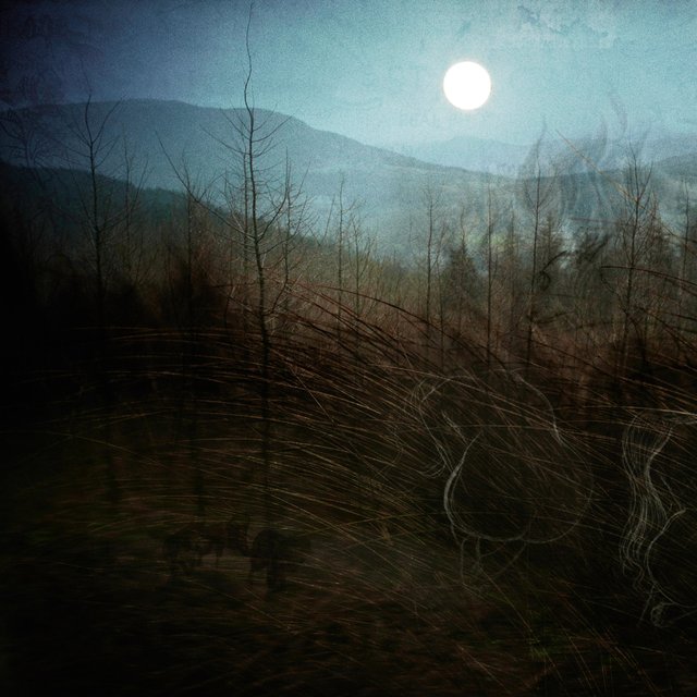 A Dream in a Dream