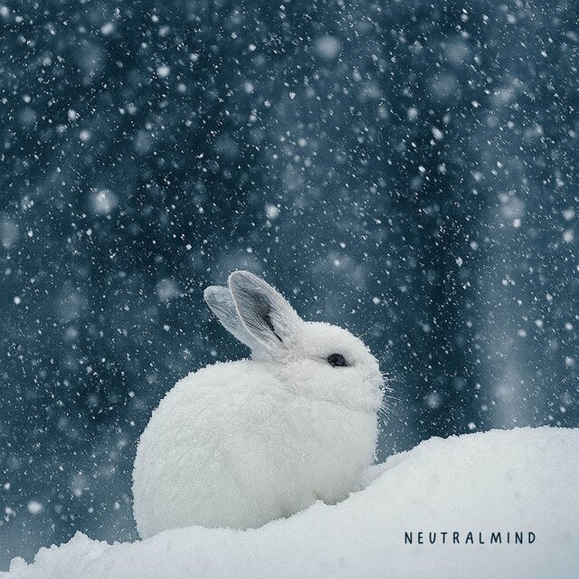 Mindful Snowflakes