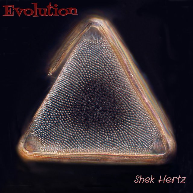 Evolution