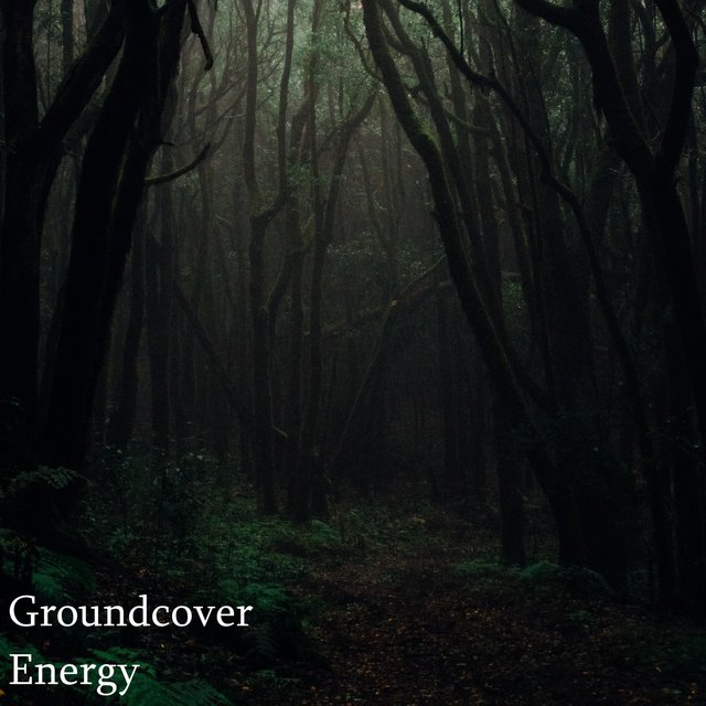 Groundcover Energy