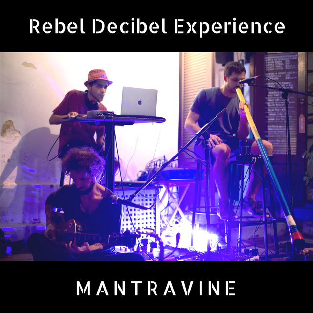 Rebel Decibel Experience