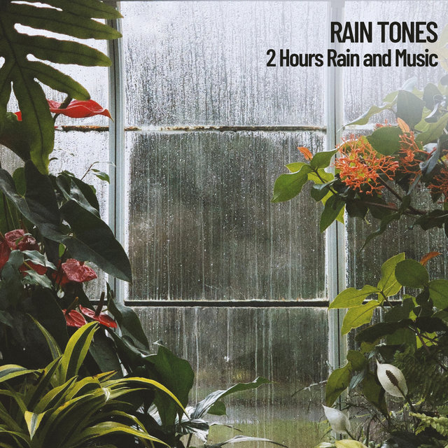 Rain Sounds (2 Hours)