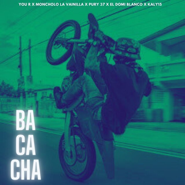 Bacacha