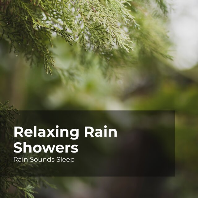 Relaxing Rain Showers by Rain Sounds Sleep on TIDAL