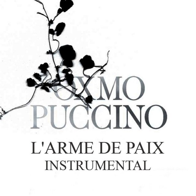 TÉLÉCHARGER OXMO PUCCINO LA RECONCILIATION LA PUCCINO TÉLÉCHARGER RECONCILIATION OXMO