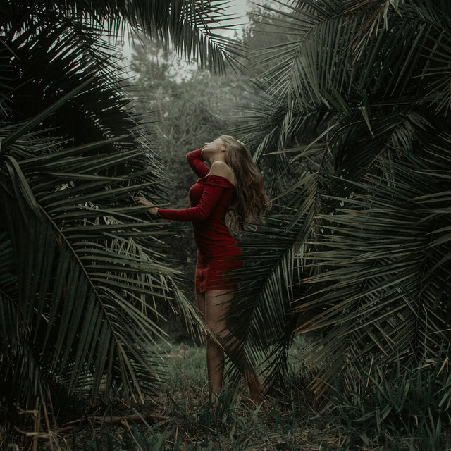 Primeira Dama