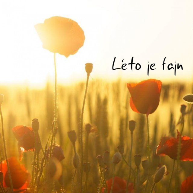 Léto je fajn