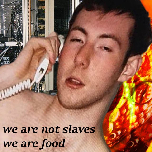 We Are Not Slaves, We Are Food