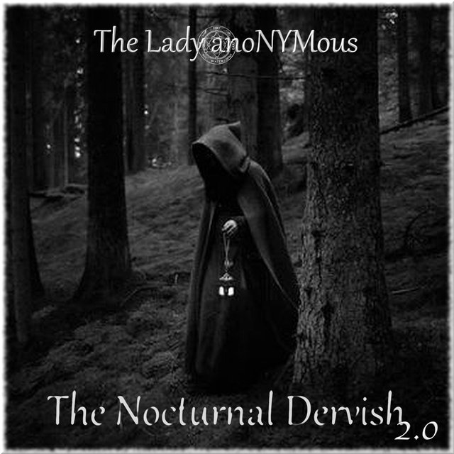 The Nocturnal Dervish 2.0