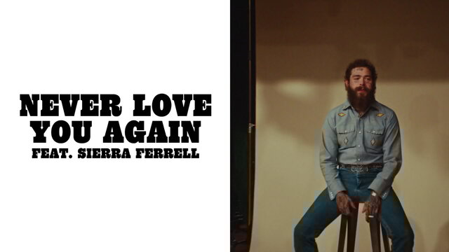 Never Love You Again