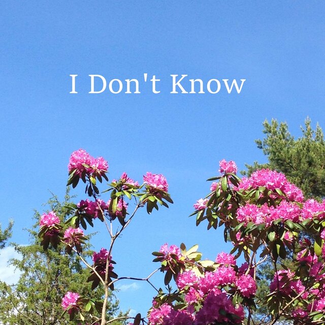 I Don´t Know (Radio Edit)