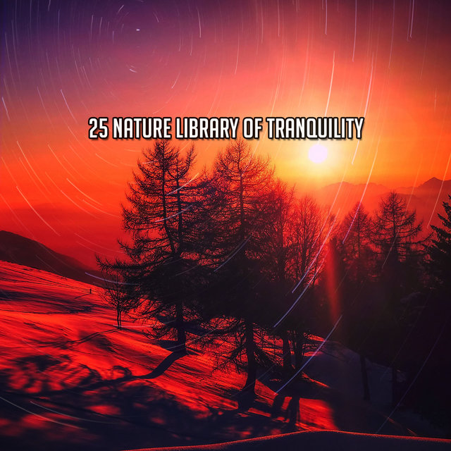 !!!! 25 Nature Library Of Tranquility !!!!