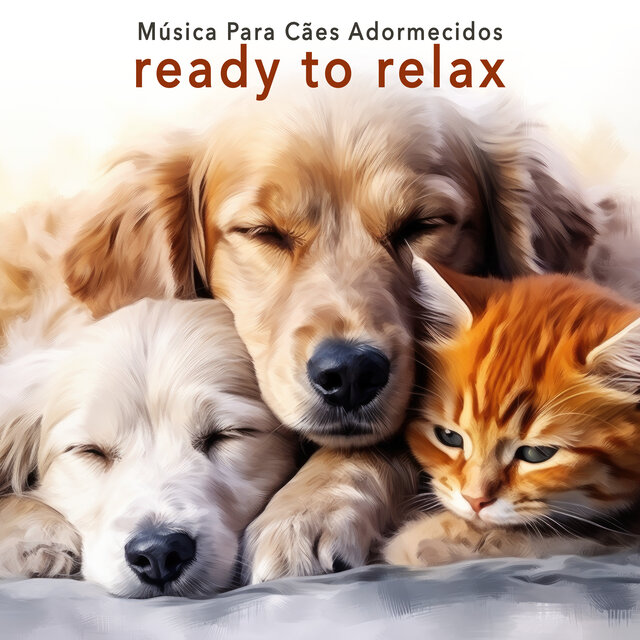 Ready To Relax