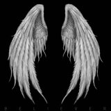 Believer
