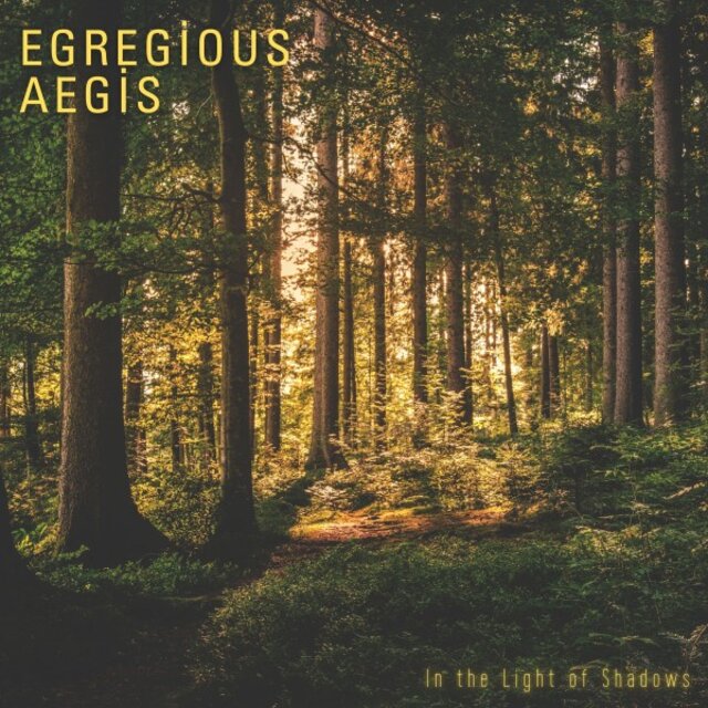 In the Light of Shadows