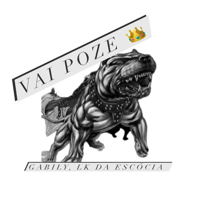 Vai Poze