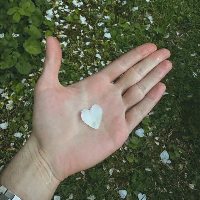 Beautiful