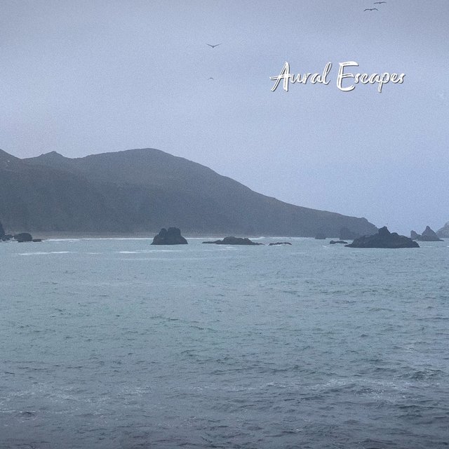 Foggy Morning Surf Waves for Sleep